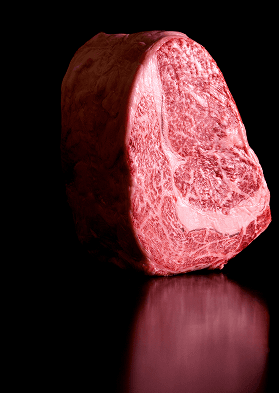 Traçabilité & Transparence 