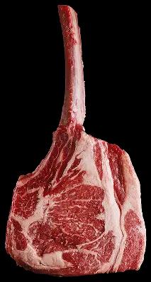 Traçabilité & Transparence